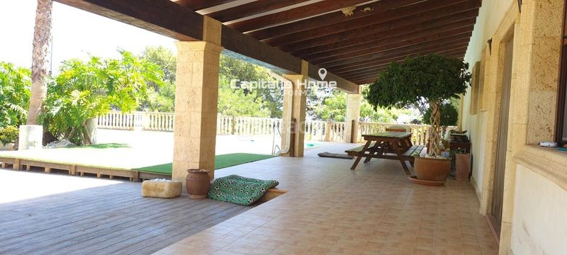 Foto e9da30a0-4825-4a11-abfa-6b665435d7d1. Xalet amb calefacció aparcament piscina a Crevillente