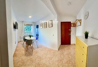 Affitto Appartamento  Dr bergez. Calle dr. bergez, barrio carolinas bajas. alicante