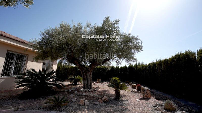 Foto 0d4e9fc7-705b-46e2-b000-e9121f252b23. Xalet amb calefacció aparcament piscina a Orihuela ciudad Orihuela