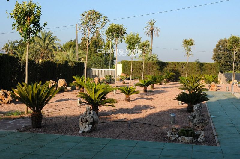 Foto 4644a234-b370-4209-b55c-fc94c8aa4a15. Xalet amb calefacció aparcament piscina a Orihuela ciudad Orihuela
