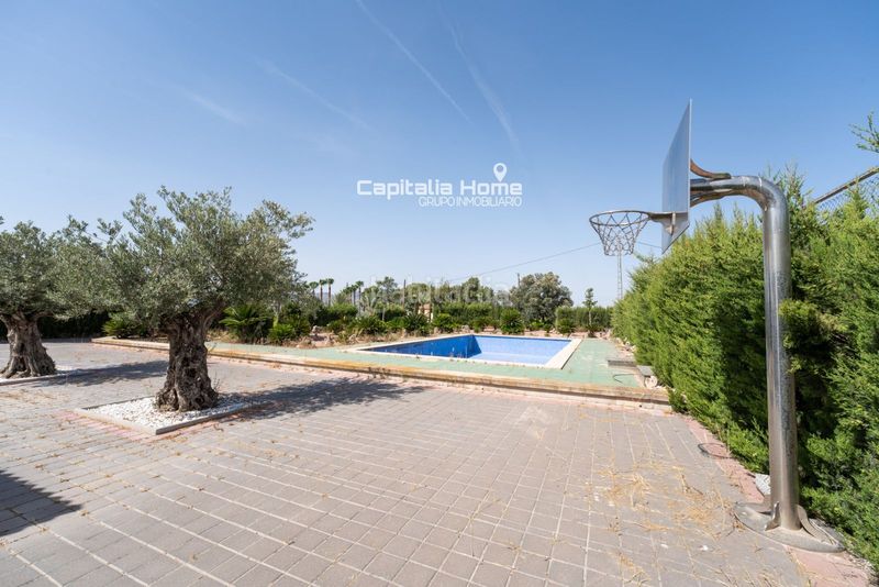 Foto 90cff6b5-da19-468d-8e55-0c9b4da0d7ec. Xalet amb calefacció aparcament piscina a Orihuela ciudad Orihuela