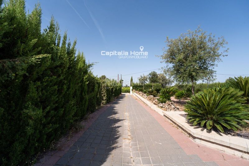 Foto a507bf17-9c6e-4107-b346-a50ce090381d. Xalet amb calefacció aparcament piscina a Orihuela ciudad Orihuela