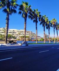 Appartement en Playa Jardn