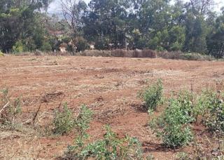 Finca rstica en Campo de Golf - Agua Garca - Juan Fernndez