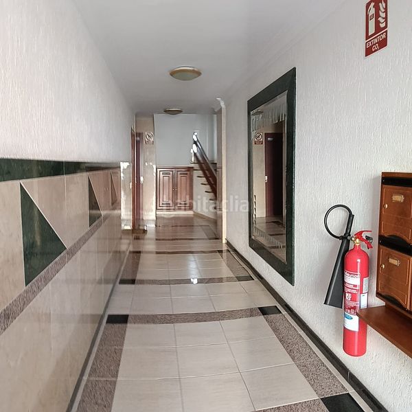 Foto 1b079ab4-2887-4249-918c-f9d8d090ea69. Pis a Longuera - Toscal Realejos (Los)