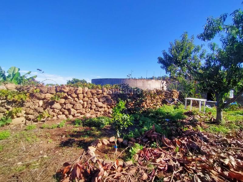 Foto 15dd4cd8-974a-4dc2-95b2-9e5c541d59fd. Fondo rustico in Santa Bárbara - La Florida Icod de los Vinos