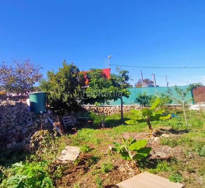 Foto 3bcf8e5e-7d59-42e3-b19b-ba623774024e. Fondo rustico in Santa Bárbara - La Florida Icod de los Vinos