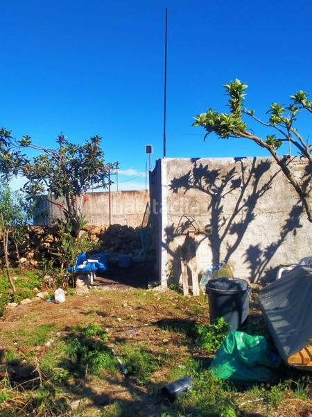 Foto 458ebefc-d47a-4c62-9b18-b26f9c267f01. Fondo rustico in Santa Bárbara - La Florida Icod de los Vinos