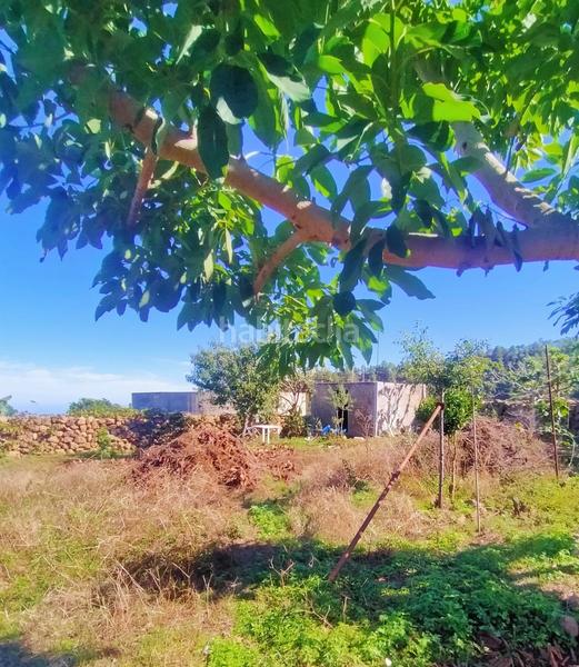 Foto 44eff133-0edc-4140-8be0-681592681578. Finca rústica en Santa Bárbara - La Florida Icod de los Vinos