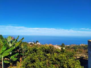 Fondo rustico in Santa Bárbara - La Florida