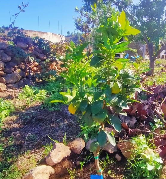 Foto e18a116c-badc-4cd8-acaf-11def35a60f2. Finca rústica en Santa Bárbara - La Florida Icod de los Vinos