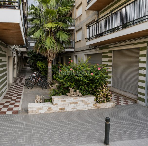 Foto ec41c911-33b3-4175-915d-8d9c0e48f9ce. Pis a Calella