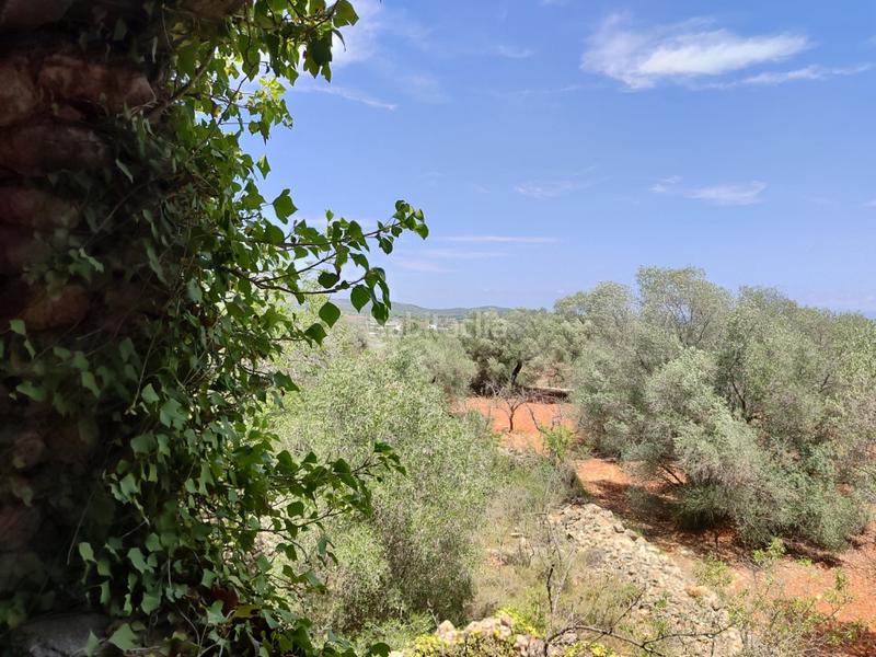 Foto 061edd36-9e33-4323-b480-16432696fd01. Maison avec parking dans Las Atalayas-Urmi-Cerro Mar Peñíscola