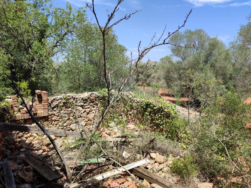 Foto 17a12dea-05ef-43dd-9e26-7061bb29fc29. Maison avec parking dans Las Atalayas-Urmi-Cerro Mar Peñíscola