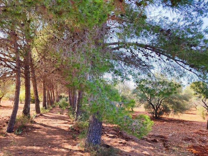 Foto 1c79af3c-8327-46e6-8fa0-37eb114e9117. Maison avec parking dans Las Atalayas-Urmi-Cerro Mar Peñíscola