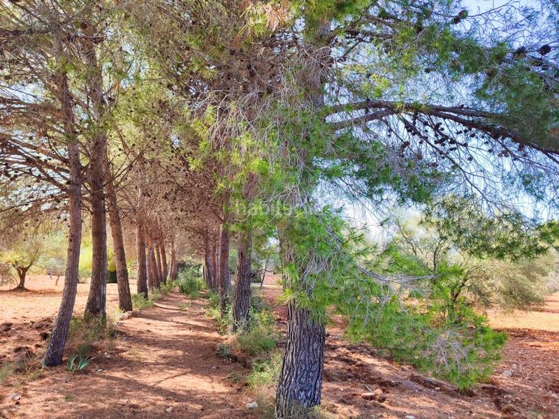 Foto 55649b99-8ee2-4c23-a4bd-b3472e85736e. Maison avec parking dans Las Atalayas-Urmi-Cerro Mar Peñíscola