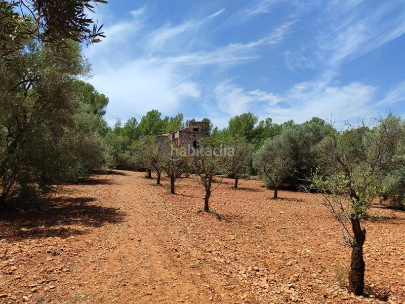 Foto 81105b19-f8a5-422a-8bcc-3d31e0bee301. Maison avec parking dans Las Atalayas-Urmi-Cerro Mar Peñíscola