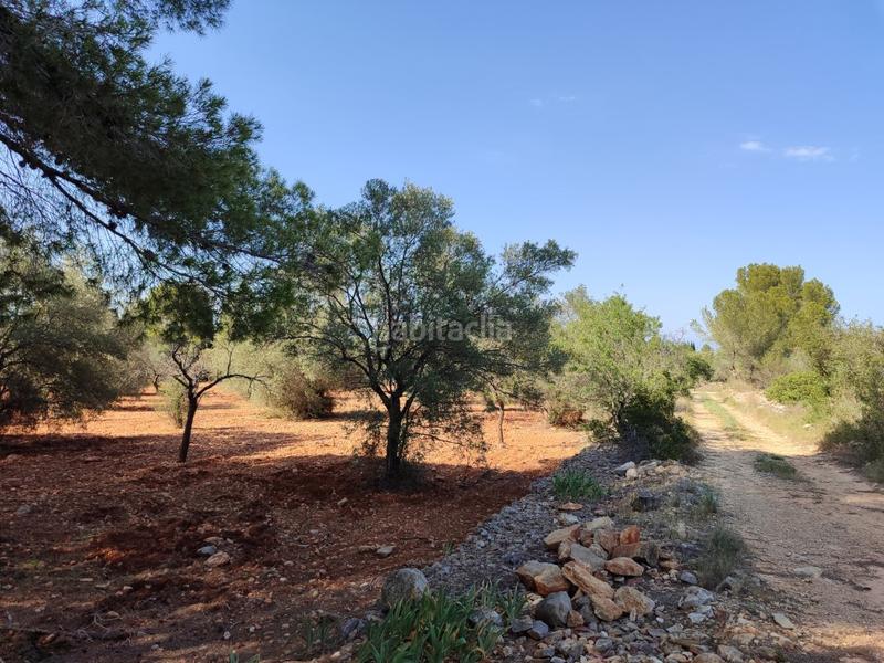 Foto 868db7ad-514d-4c92-bb8e-157564ca7d8c. Maison avec parking dans Las Atalayas-Urmi-Cerro Mar Peñíscola