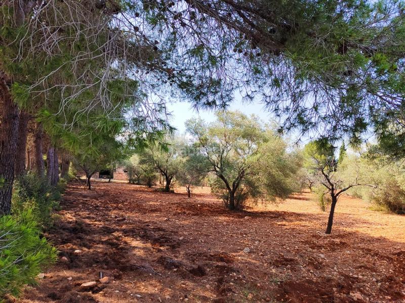 Foto 90a39259-3e24-4bc9-82fb-c1fd0b795e0e. Maison avec parking dans Las Atalayas-Urmi-Cerro Mar Peñíscola