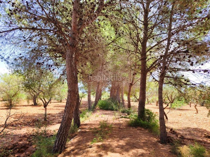 Foto c978341a-ed80-42d7-9e1d-a5ac2c7836c4. Maison avec parking dans Las Atalayas-Urmi-Cerro Mar Peñíscola