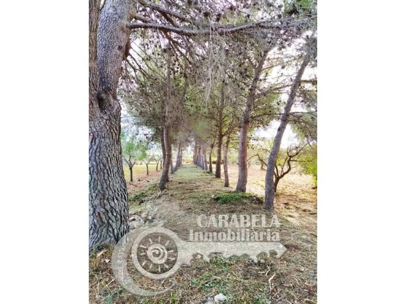Foto f7935825-ce74-4150-99ed-935ad14122d2. Maison avec parking dans Las Atalayas-Urmi-Cerro Mar Peñíscola