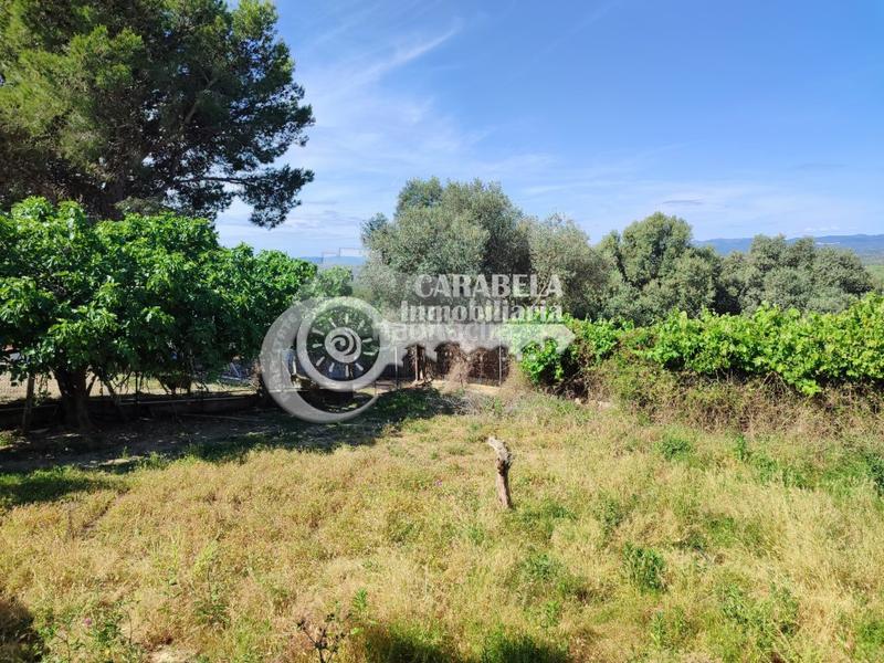 Foto afdd10b3-79fd-466f-9287-b5f1c19754a4. Chalet with parking pool in closa de Vinaròs - ermita Vinaròs