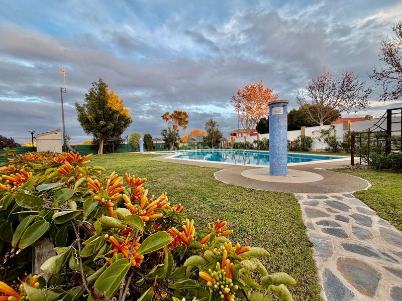 Foto 2fc27cd6-f076-4cd7-b42b-34ba14e6935a. Casa amb piscina a San Cayetano Torre - Pacheco
