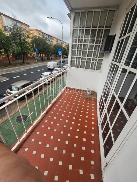 Foto c3bc184d-6be4-48d0-b69d-e9b6fb95bf3e. Piso vivienda familiar en Cruz Roja Sevilla