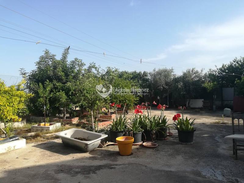 Foto 388efabf-4845-4650-af90-1aaf8952c611. Propriété dans La Paz Alcalá de Guadaira