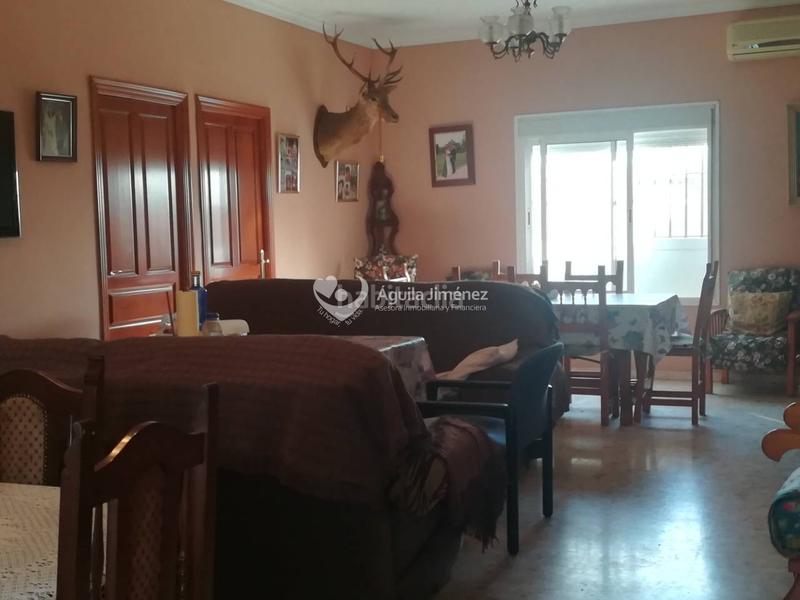 Foto da5ef4c6-2817-4516-a0a0-d8aeb7f436c2. Propriété dans La Paz Alcalá de Guadaira