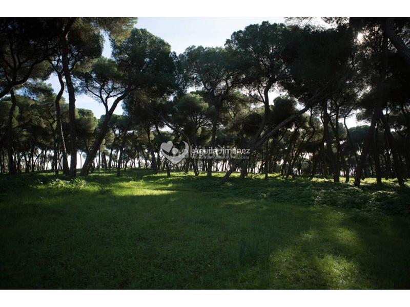 Foto 748106d7-7bc4-4e27-9b90-062ec5d42009. Landgut in Oromana Alcalá de Guadaira