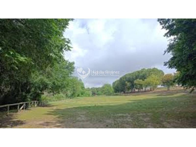 Foto b9062678-679e-445d-b174-c22712d2e0dd. Landgut in Oromana Alcalá de Guadaira