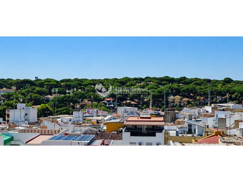 Foto 524fdecc-e844-491b-af01-d993cd231dab. Casa adosada venta de gran casa en Oromana, para dos familias. contiene imágenes generadas con ia en Alcalá de Guadaira