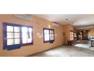 Business premise in Centro