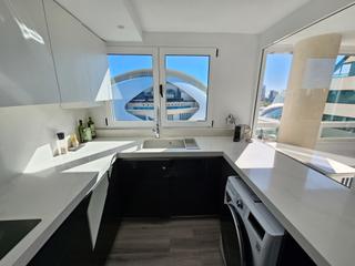 Pis a Avinguda del Professor López Piñero