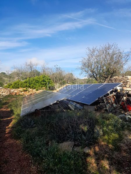 Foto e3d7c12b-1c78-4df0-b478-52f201645644. Masia a Llíber