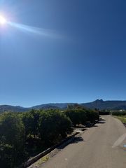 Landgut in Tormos. ?? finca rústica en venta en tormos – 2.500 m² de mandarinas cle
