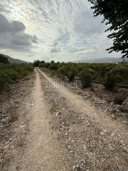 Foto 72ce86b7-d85c-4e1a-b71d-b64be25ca361. Finca rústica a Sagra