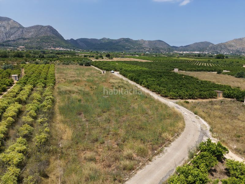 Foto 79f62598-cbb0-4577-8ef7-7a30d477049d. Finca rústica a Benimeli