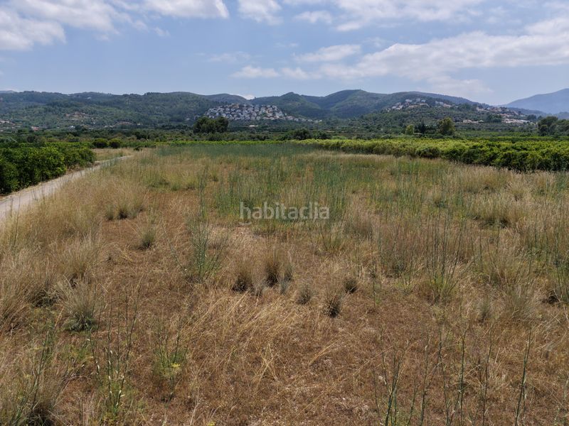 Foto bba1c225-94bd-413e-b09a-3db01d8651a8. Finca rústica a Benimeli