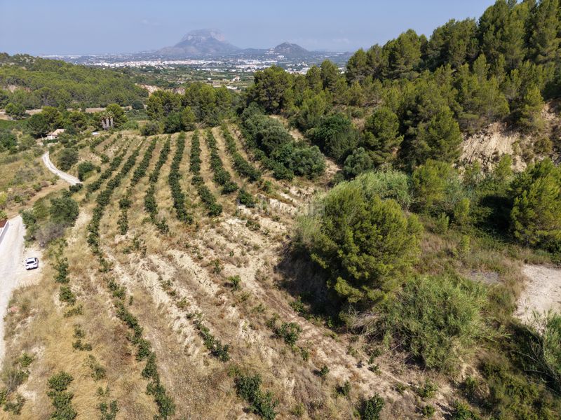 Foto 58f63e53-9d6c-496e-b910-777747d0520a. Finca rústica a Beniarbeig