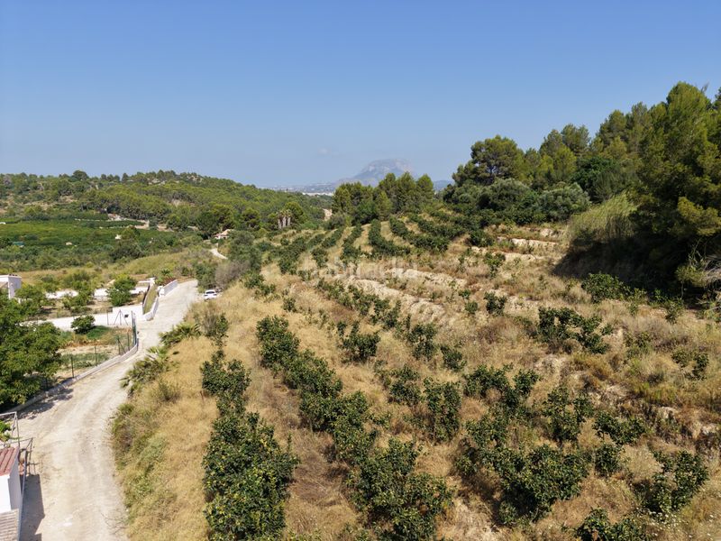 Foto a6b62318-54ad-4cc7-bc43-cfbfd3a8cbcb. Finca rústica a Beniarbeig