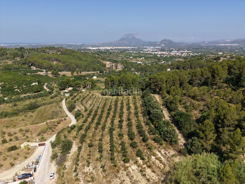 Foto e58dea3b-33df-456d-b9be-836bfd24a76e. Finca rústica a Beniarbeig