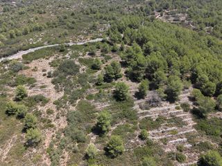 Finca rústica en Camino murtas-bernia 5. ?? gran finca rústica de 75.000 m² en xaló (zona masserof) con r