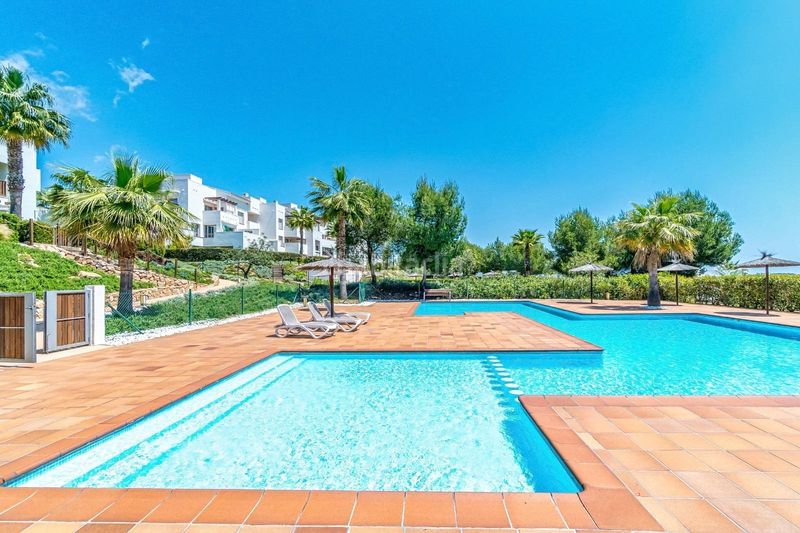 Foto d8c5f99e-e362-466d-9036-601e9bb36c50. Apartament amb calefacció aparcament piscina a Campoamor Orihuela