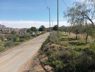 Landgut in Abanilla. Finca con olivos, agua de riego y excelentes vistas en barinas