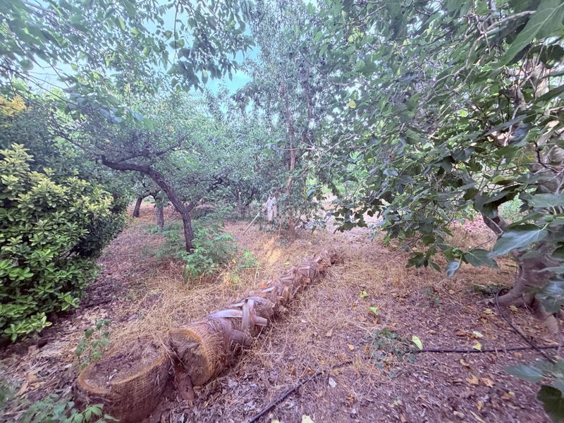 Foto 3f3d5fc0-60c7-4a4e-af7e-40df0c91dfb5. Finca rústica en Riudoms