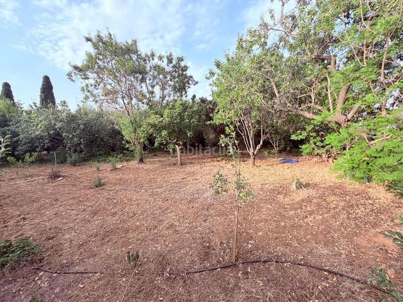 Foto 42ba763c-4900-4f51-9a56-a354e3764add. Finca rústica en Riudoms