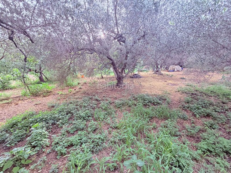 Foto 59c2368b-12c6-493c-8f45-c0ffd0418b48. Finca rústica en Riudoms