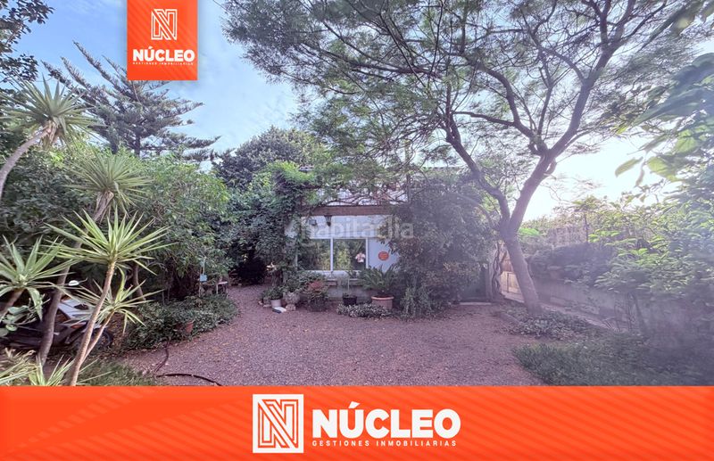 Foto a3e6ad1c-c03b-4437-8cb8-9badcd3ea99d. Finca rústica en Riudoms